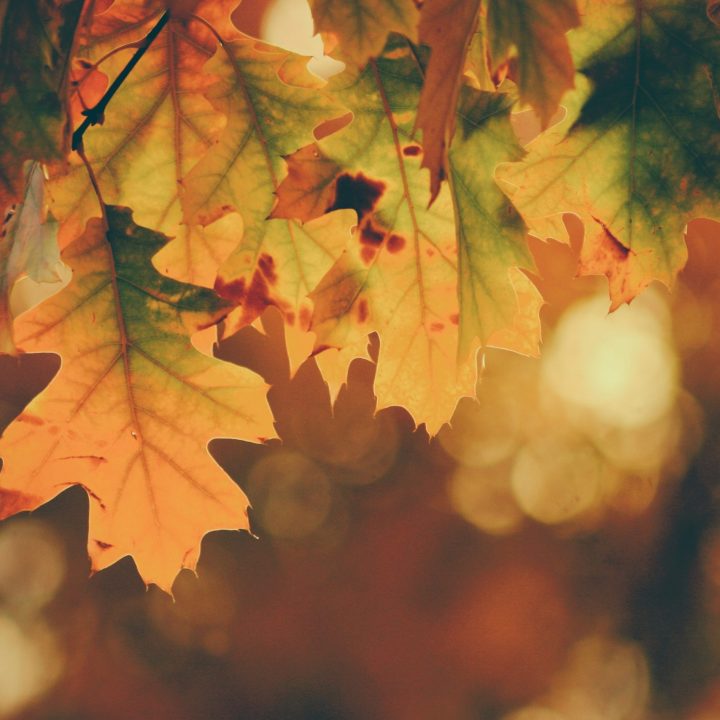 timothy-eberly-yuiJO6bvHi4-unsplash